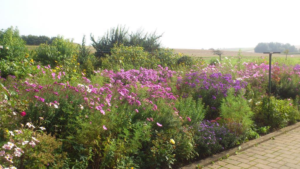 Ferienwohnungen Eichenhof 카펠렌-드루스와일러 외부 사진